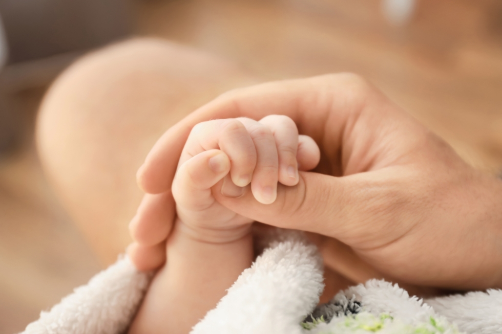 4 Baby holding adult finger, close-up.